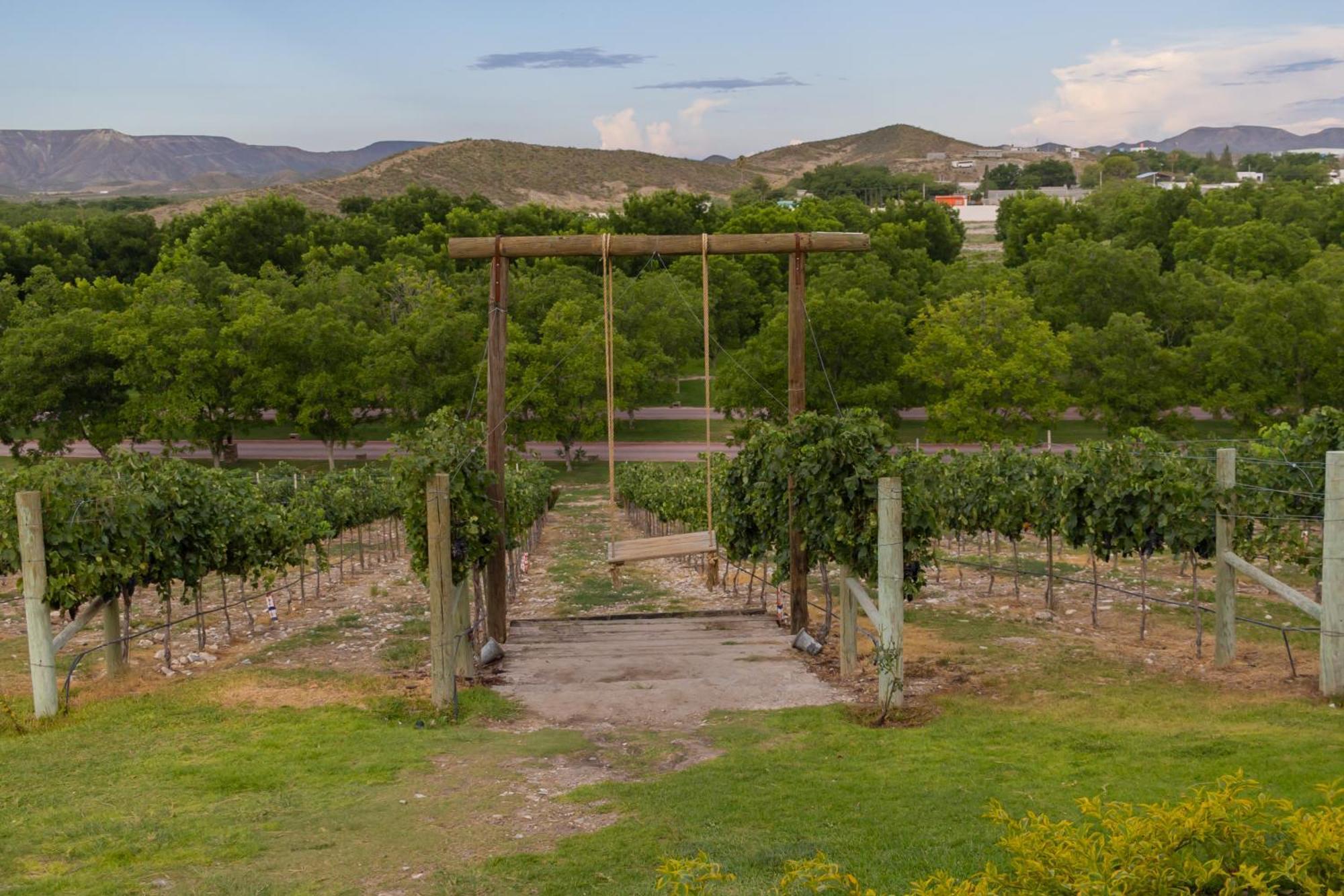 Hotel Vinicola Parvada By Lumina Parras de la Fuente Exteriér fotografie